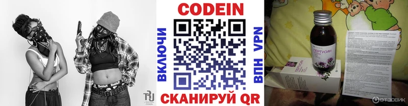 Купить закладки  Новотитаровская  Кодеиновый сироп Lean напиток Lean (лин) 