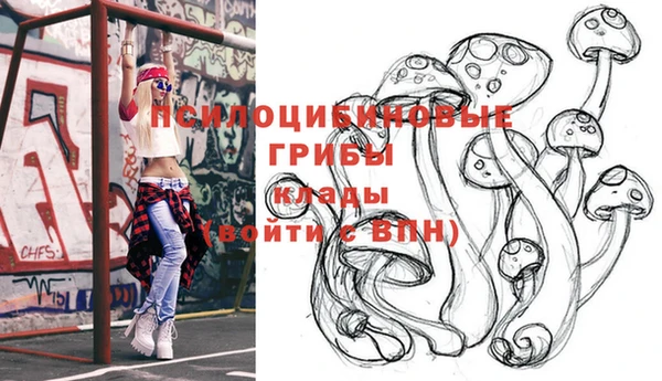 крисы Баксан