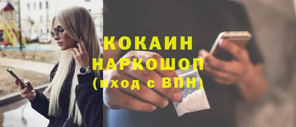 крисы Баксан