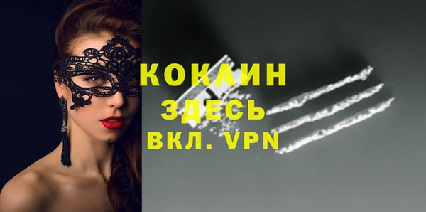 крисы Баксан