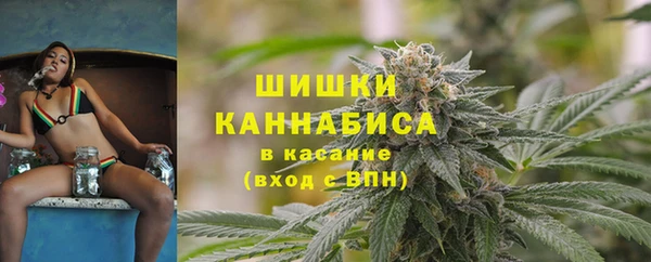 крисы Баксан