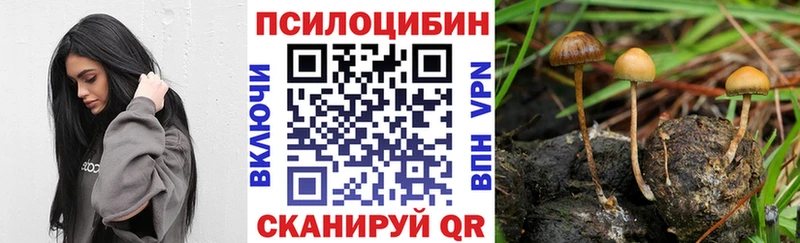 Галлюциногенные грибы Psilocybine cubensis  Купить где  Новотитаровская 
